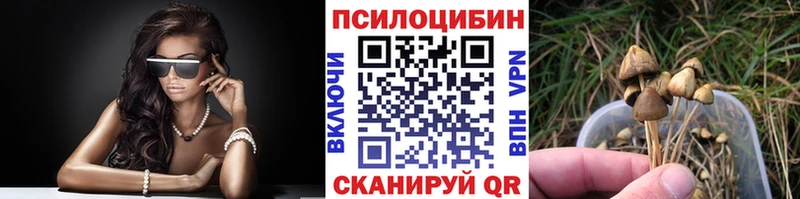 shop формула  Собинка  Галлюциногенные грибы Psilocybe 